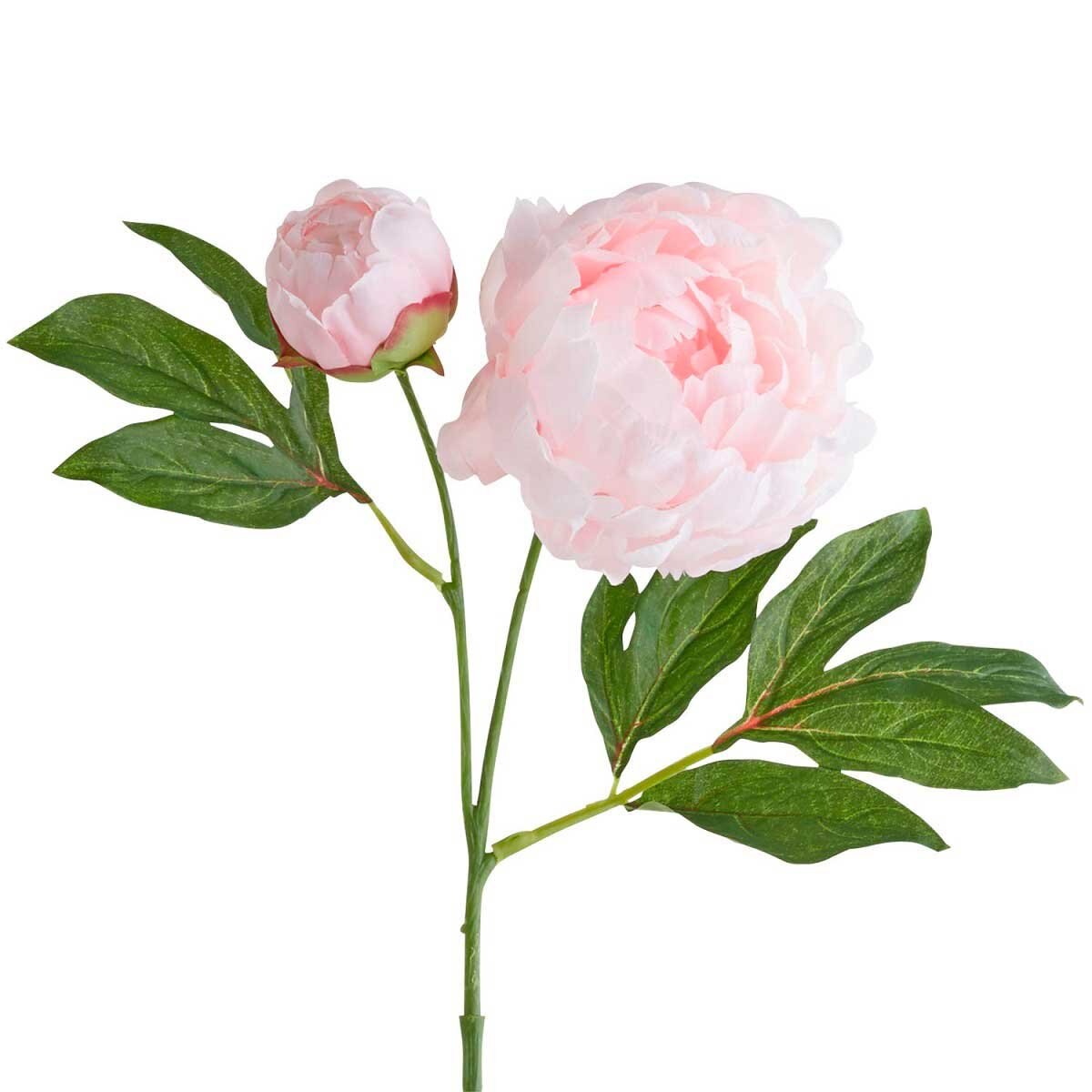 Vara Decorativa Peony Blush Pier 1 Imports