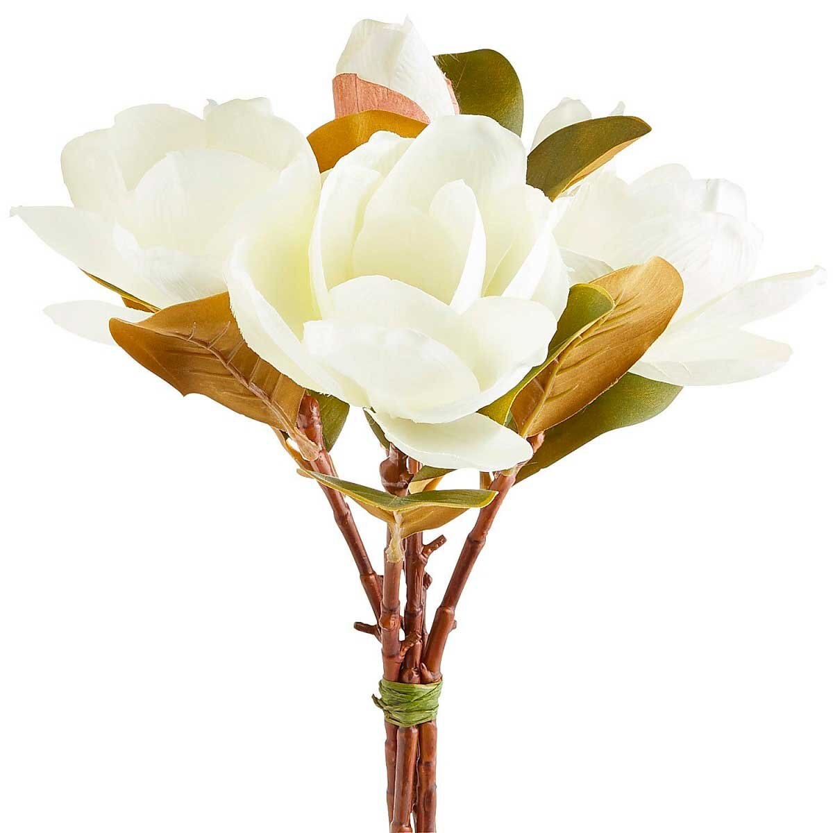 Vara Decorativa Magnolia Bundle Pier 1 Imports