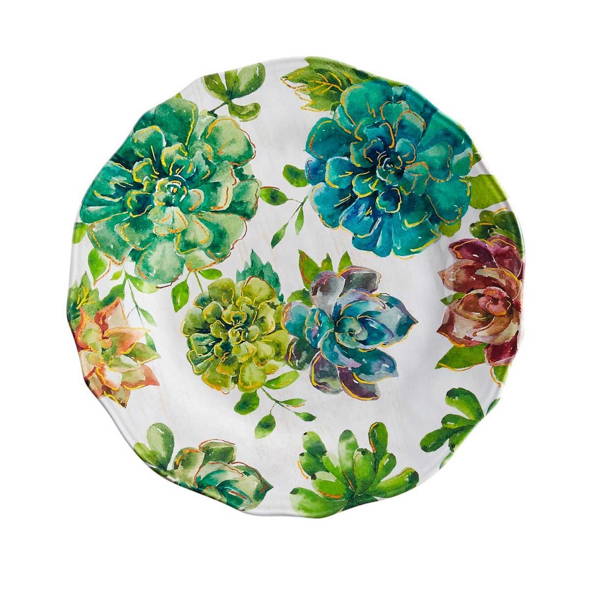 Plato Extendido Succulent Pier 1 Imports