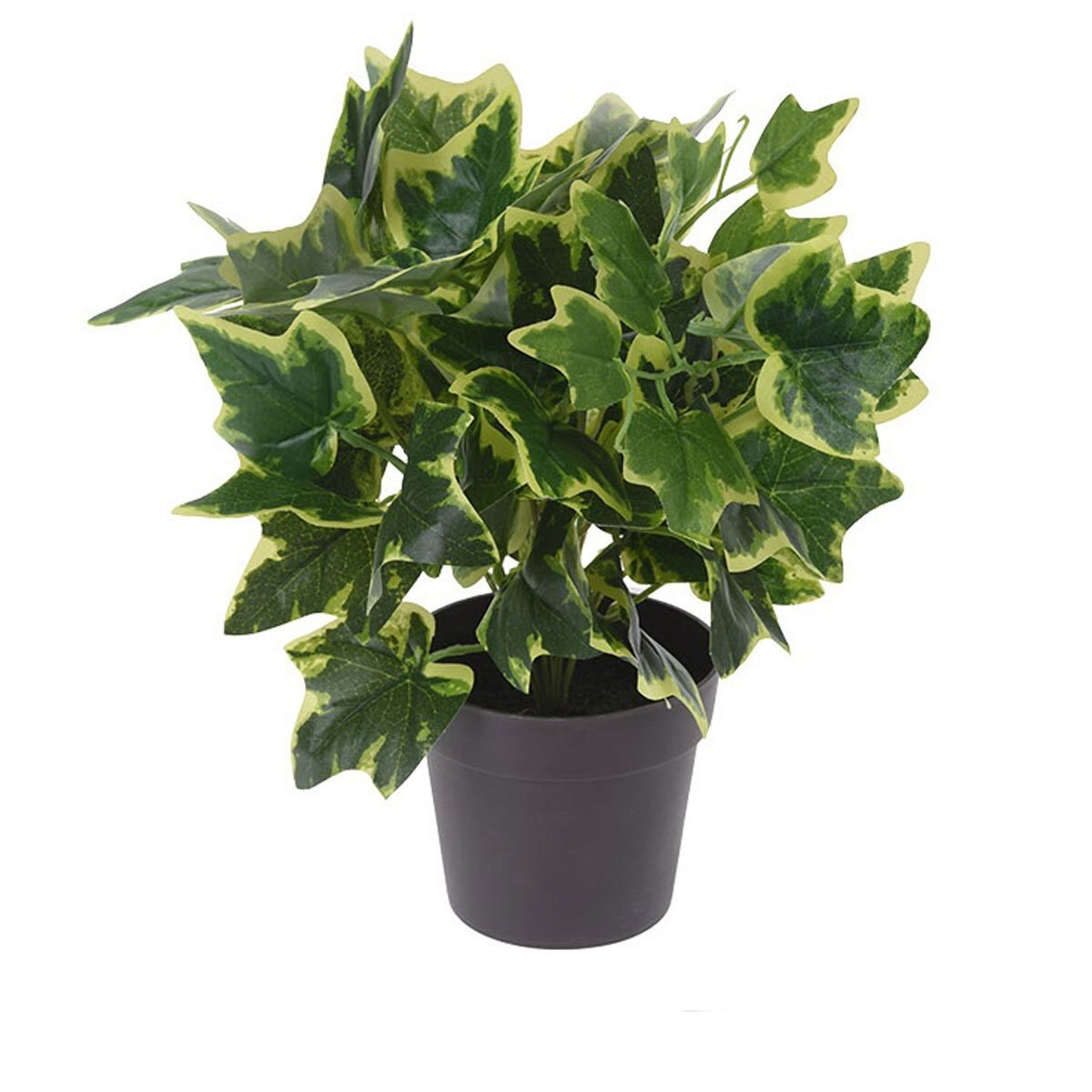 Maceta con Planta de 28 Cm