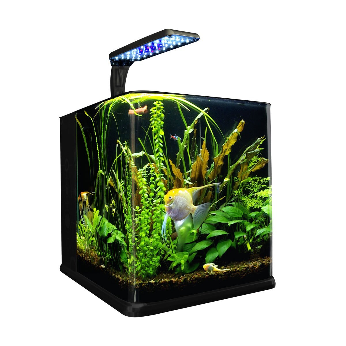 Acuario Nano Cubo de 9 Lt Acuario Lomas