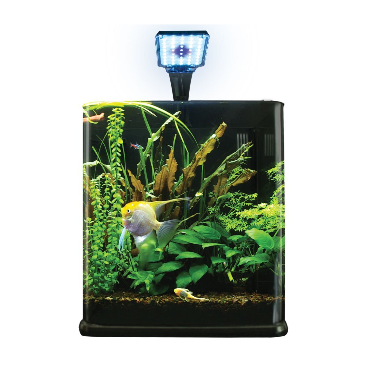 Acuario Nano Cubo de 9 Lt Acuario Lomas