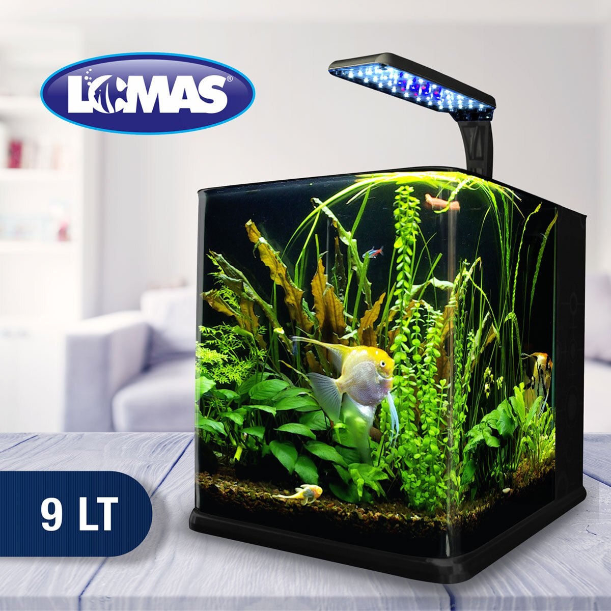 Acuario Nano Cubo de 9 Lt Acuario Lomas