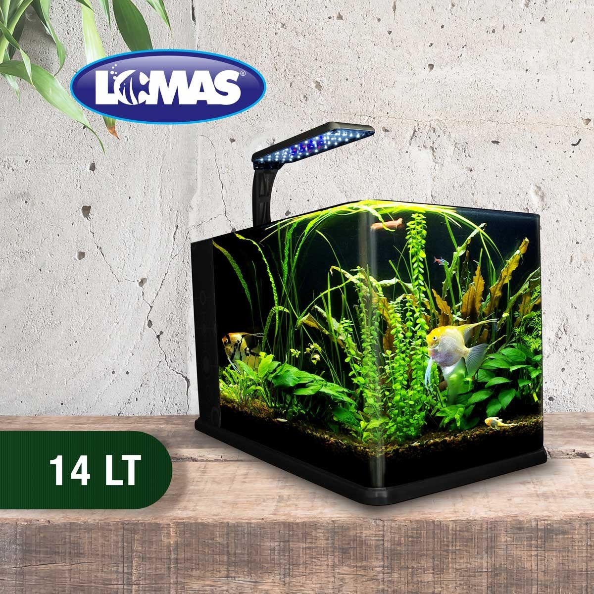 Acuario nano largo de 14 lt acuario lomas Sears