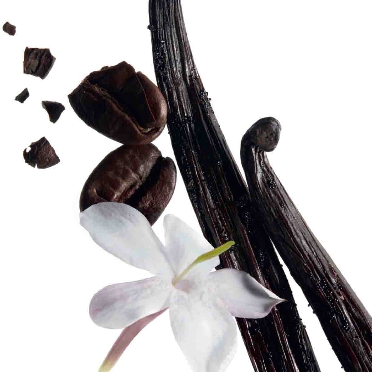 Fragancia para Dama Yves Saint Laurent Black Opium Edp 90 Ml