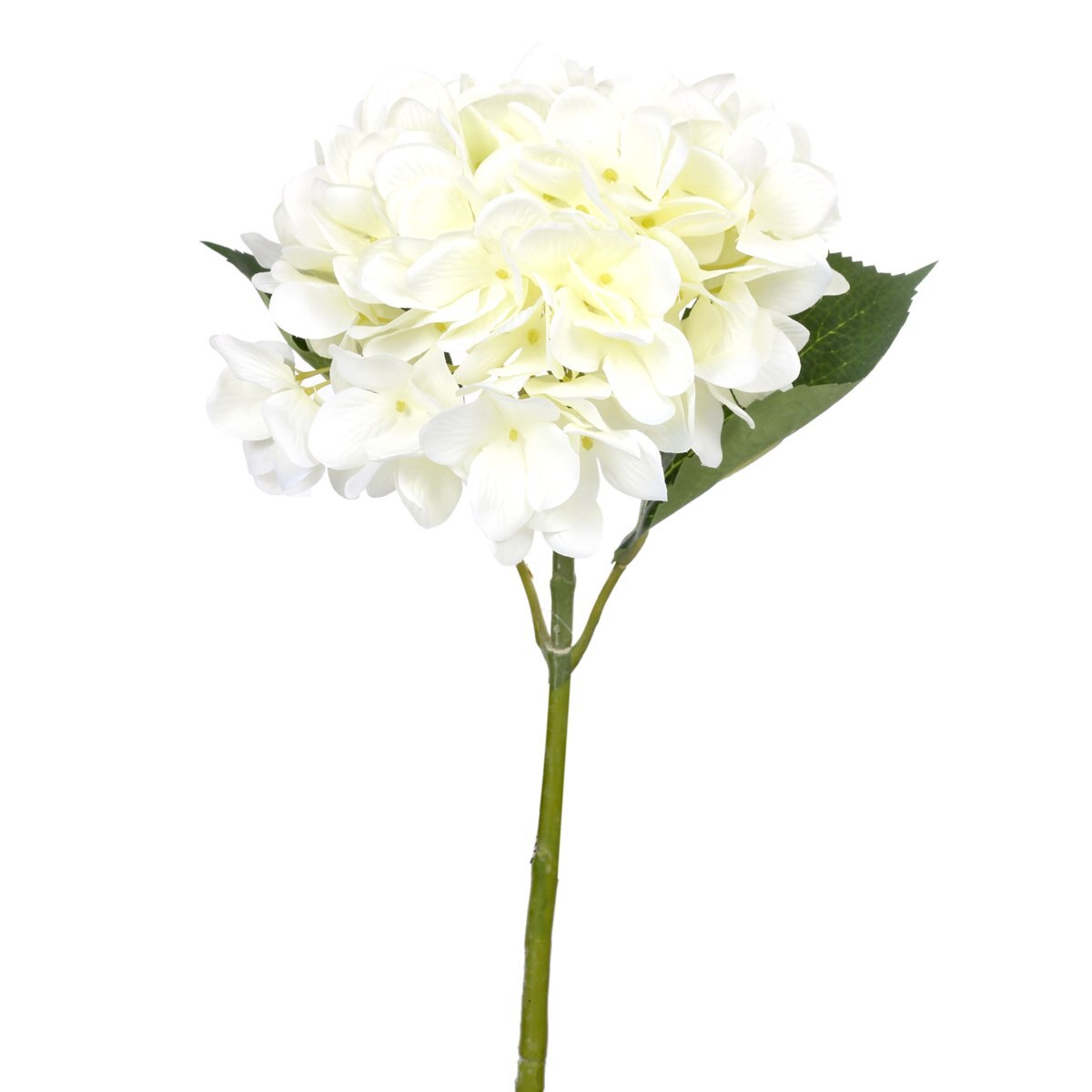 Flor Decor Blanca 67Cm Concepts Life