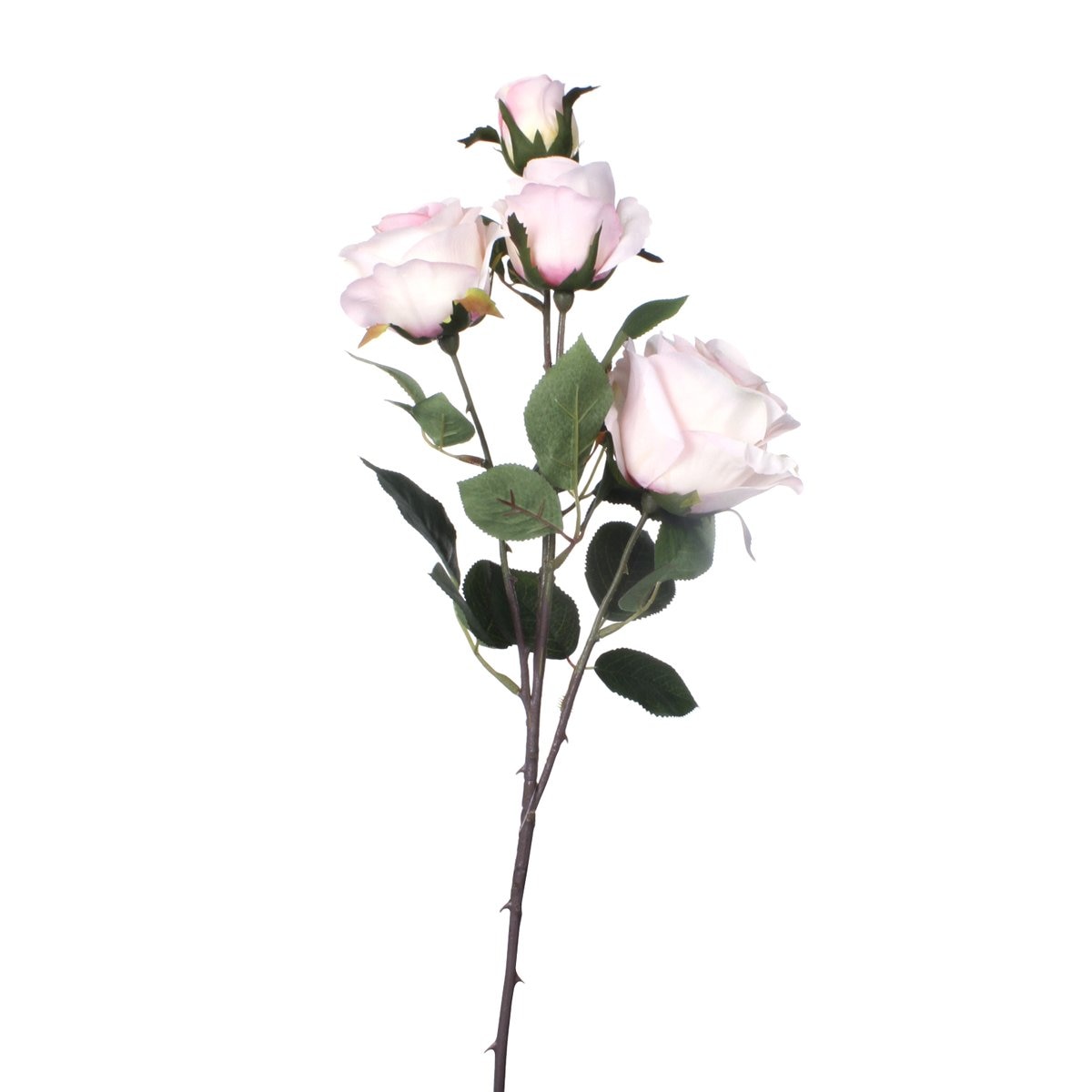 Flor Rosa Rosada Concepts Multicolorredondo