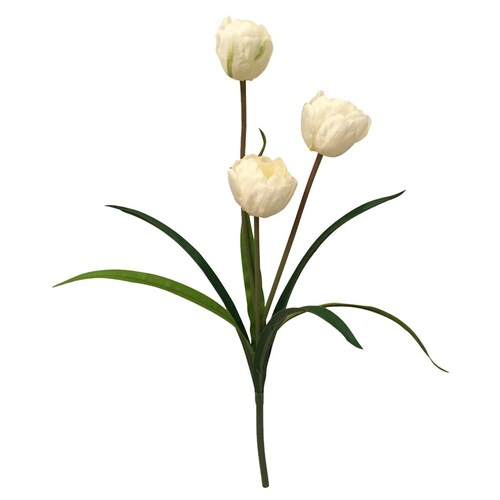 Ramo 3 Tulipanes Blanco Lottus