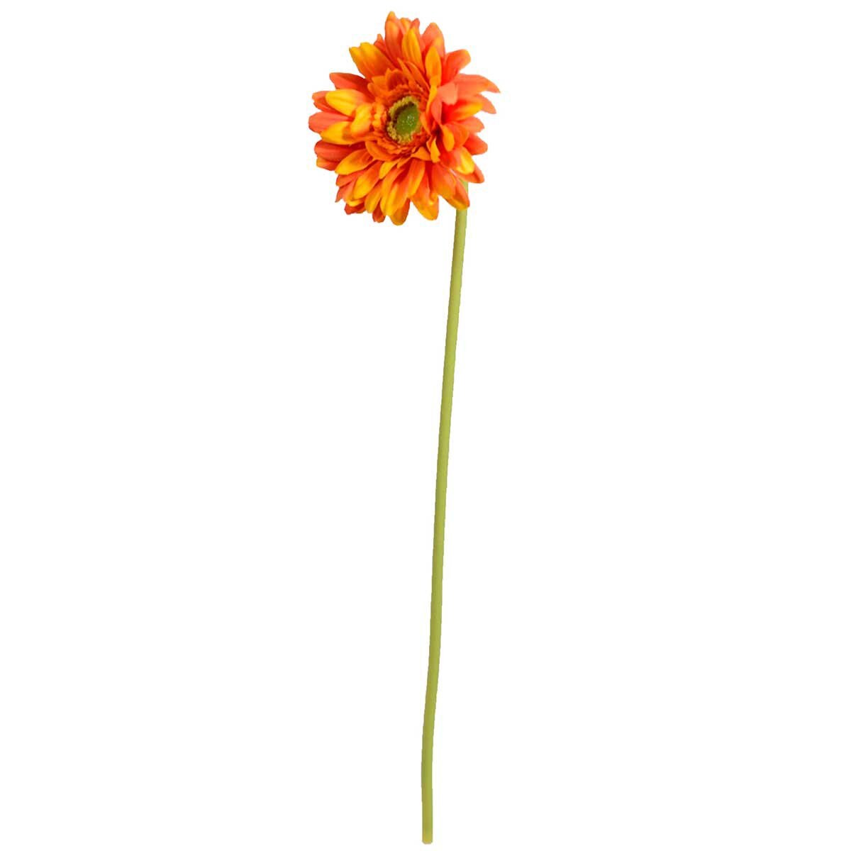 Gerbera Naranja Lottus