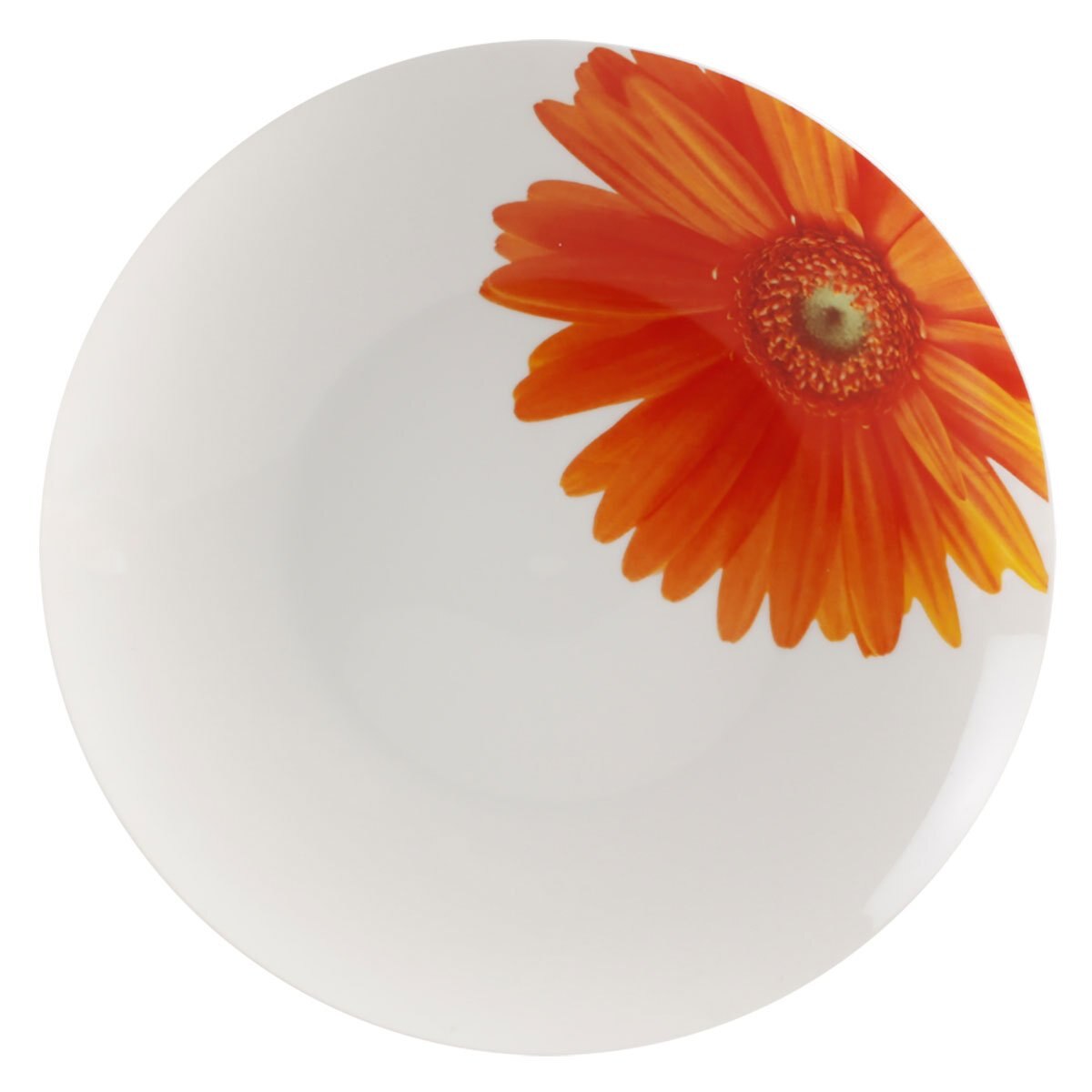 Vajilla Porcelana 16 Piezas Molla Bergmann