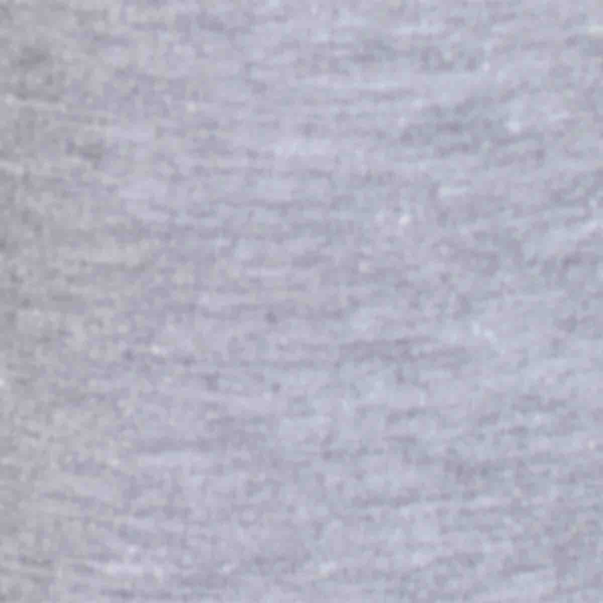 Jogger Gris Claro Hang Ten para Niño
