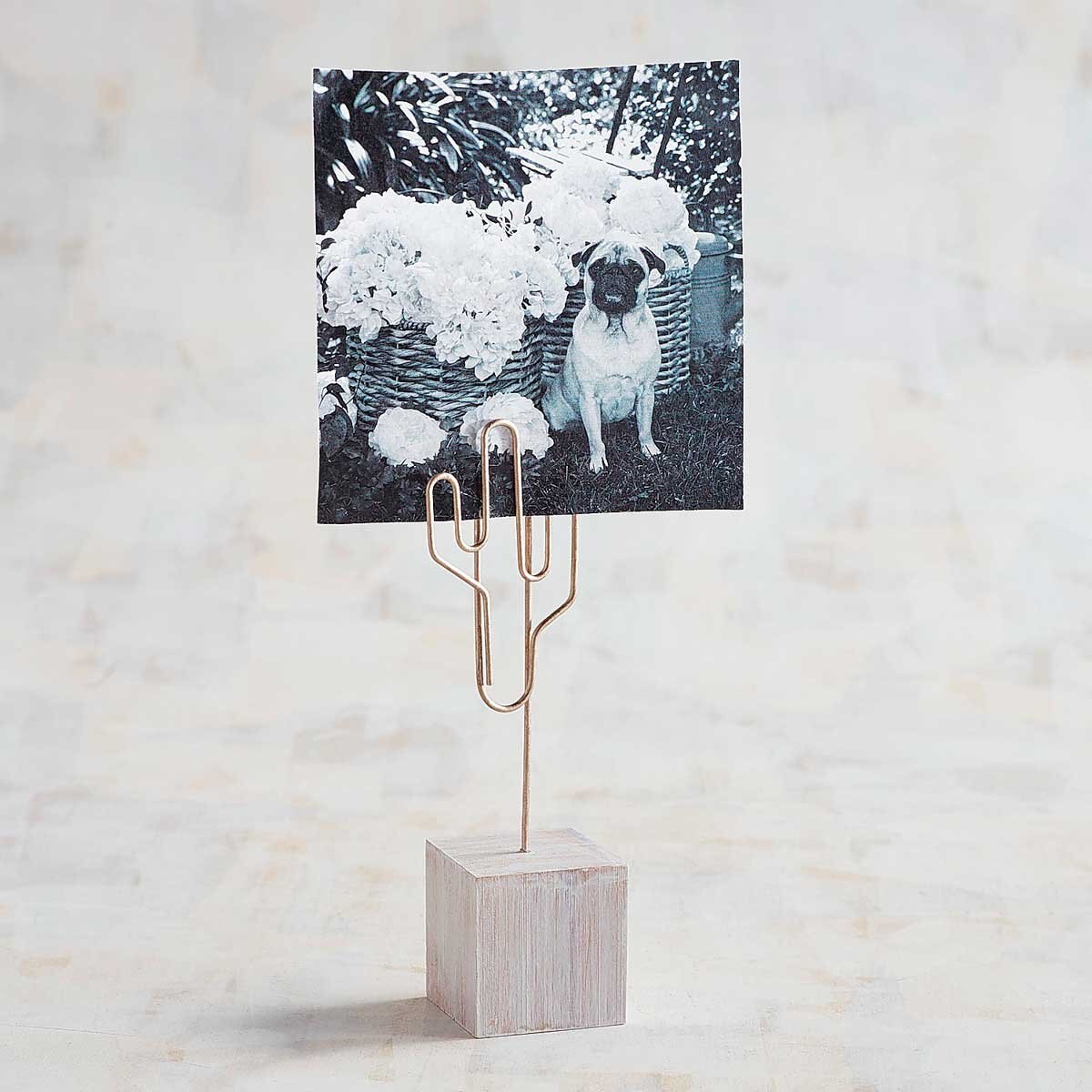 Portarretrato Clip Minimalist Cactus Pier 1 Imports