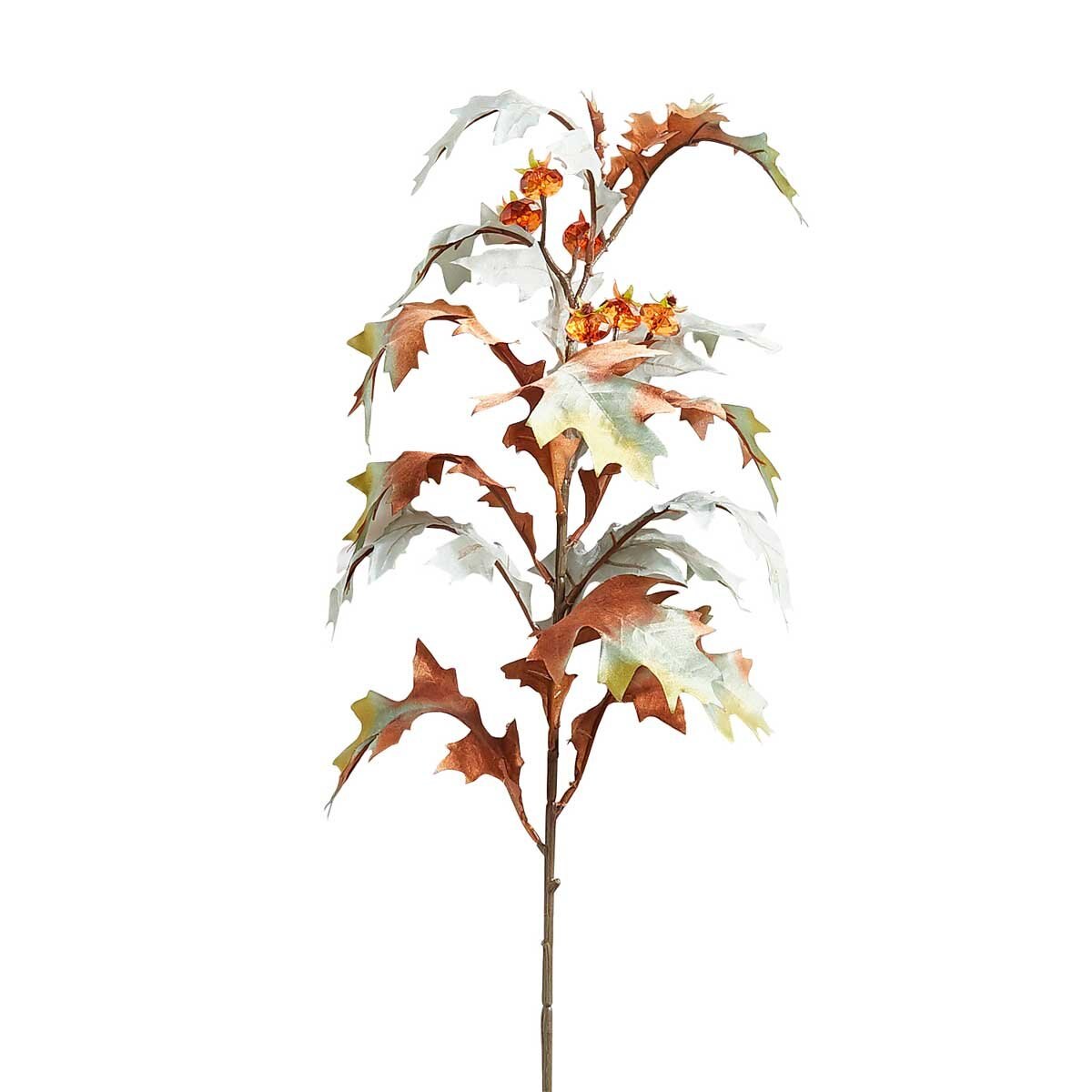 Tallo Hoja De Roble Pier 1 Imports Sears