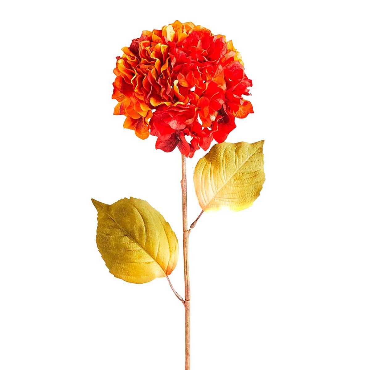 Tallo Flor Hydrangea Fall Pier 1 Imports