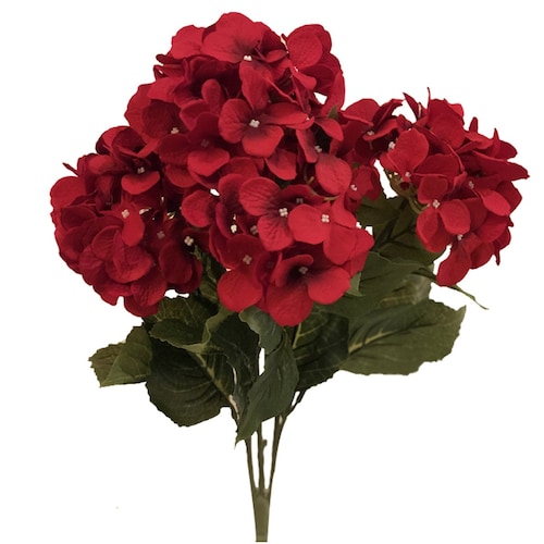 Bouquet de Hortensia Roja el Atico