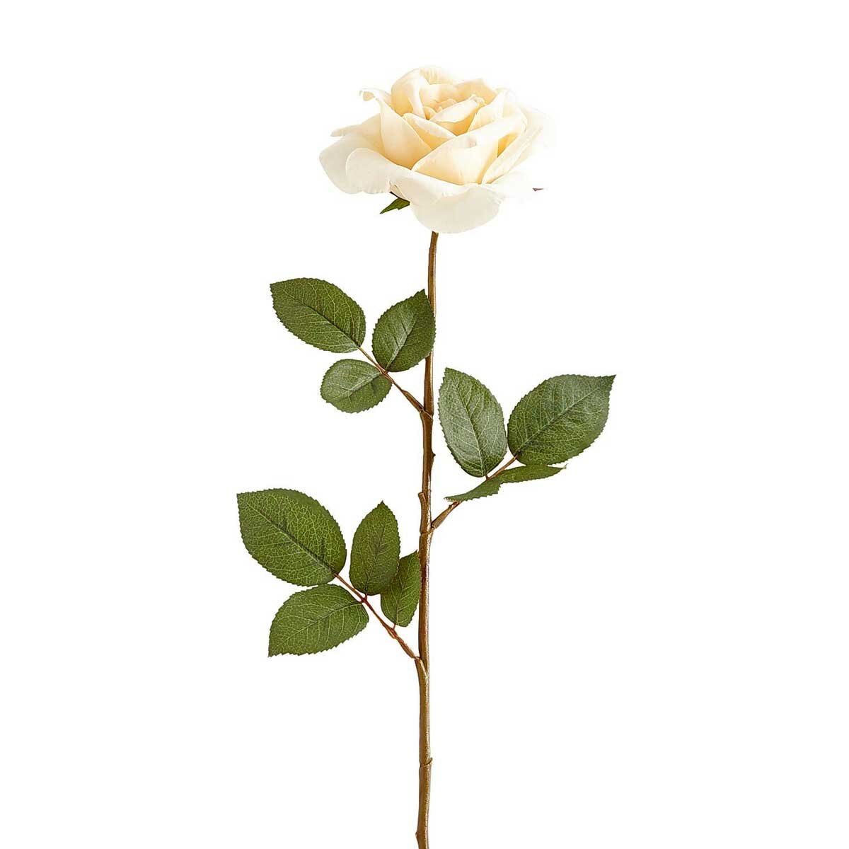 Rosa en Tallo Ivory 28 Pier 1 Imports