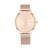 Reloj para Dama Tommy Hilfiger Familia Pippa 1782150