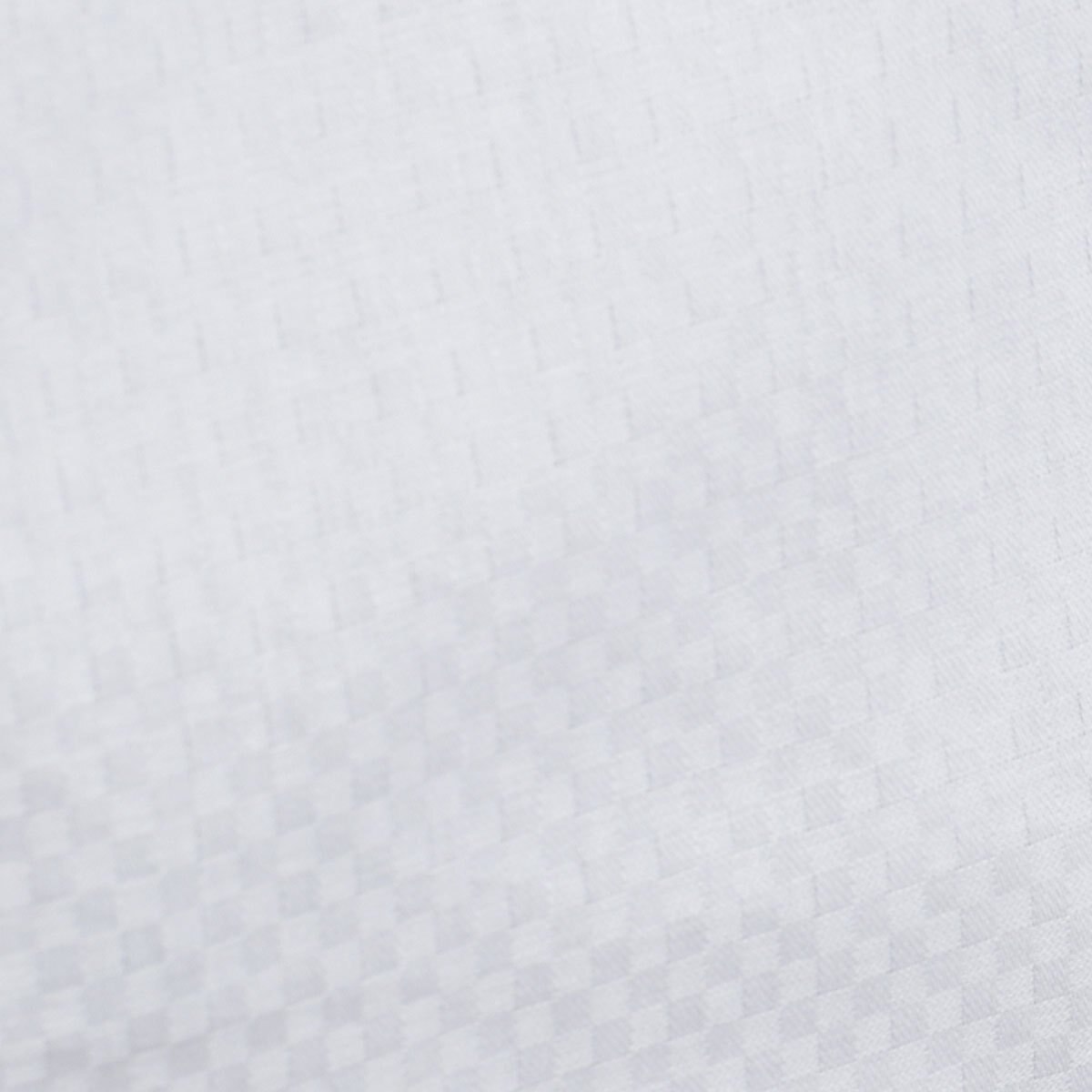 Camisa Vestir Regular Carlo Corinto Paris