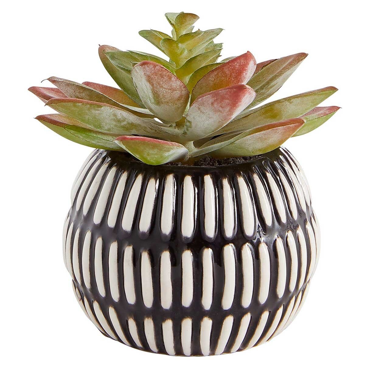 Arreglo Maceta Pier 1 Imports