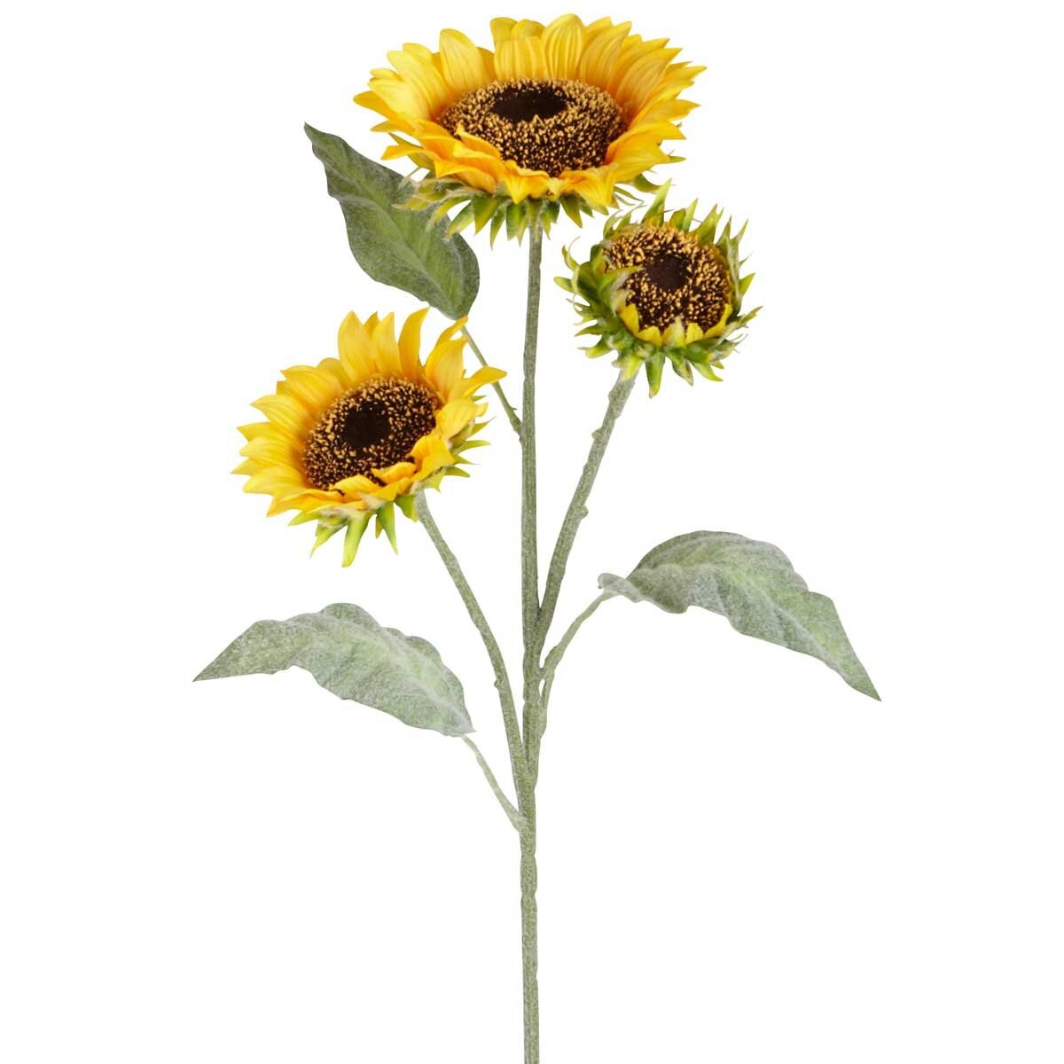 Vara Decorativa Sunflower Pier 1 Imports