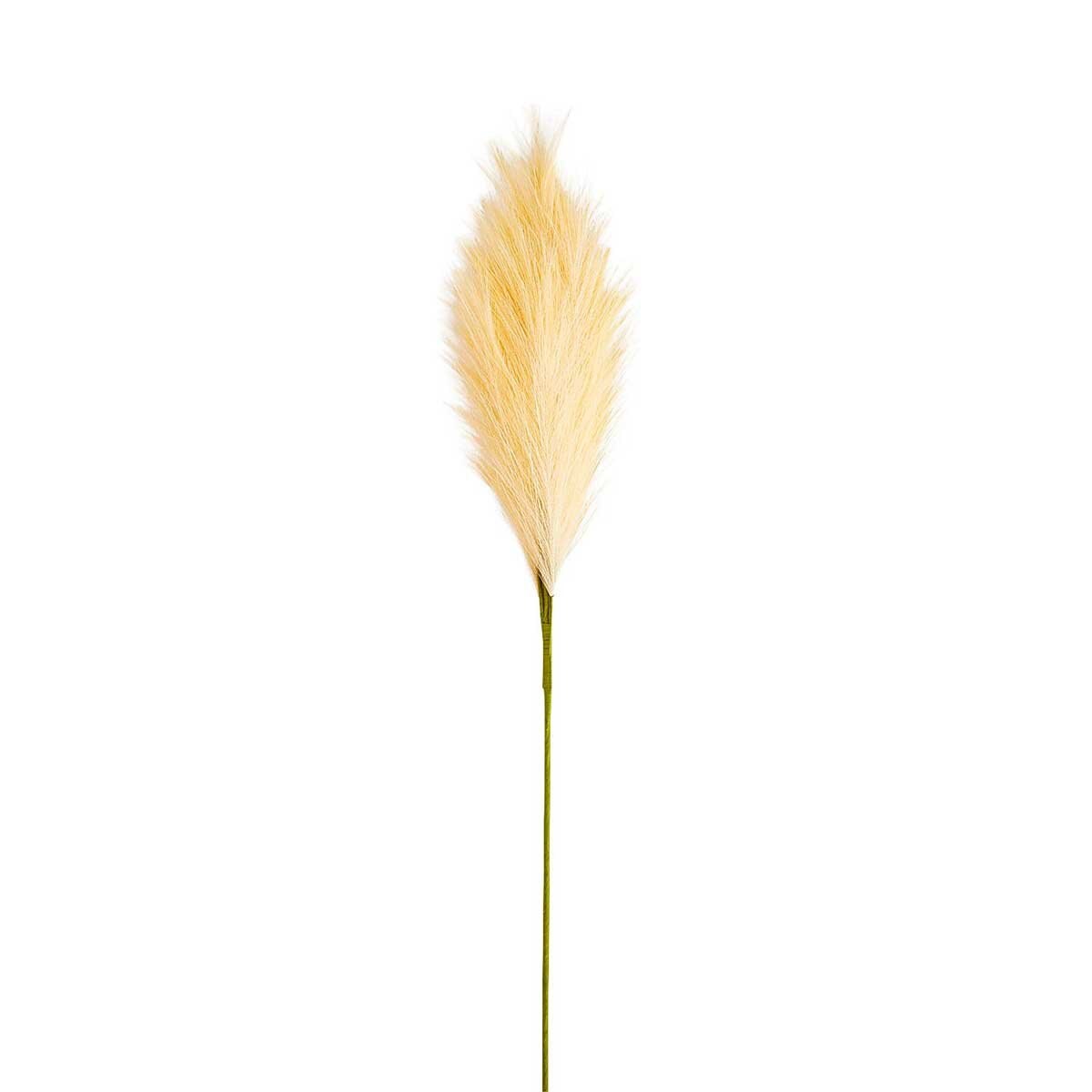 Tallo de Hierba Sand Pampas Pier 1 Imports