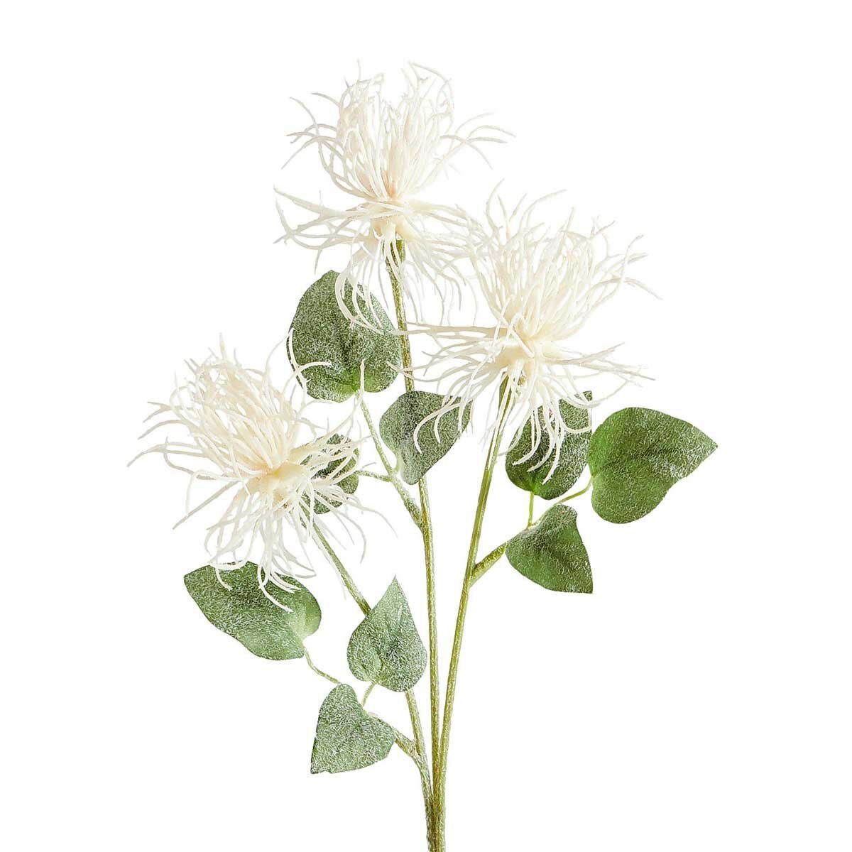Tallo Thistle White Pier 1 Imports