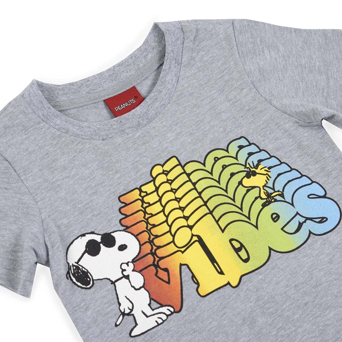 Set 1 Playera Tipo Polo y 1 Playera Cuello Redondo para Niño Snoopy