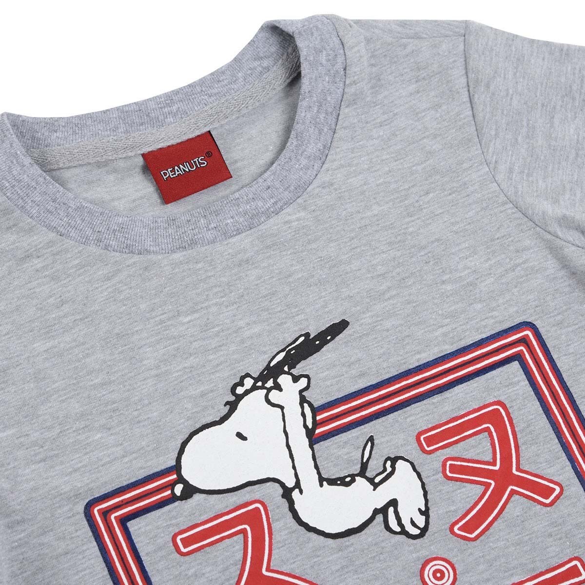 Conjunto de Short Azul y Playera Gris para Niño Snoopy