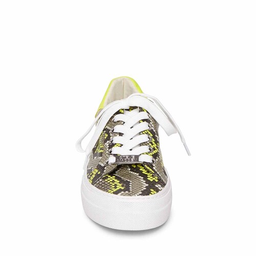 Tenis Animal Print Steve Madden