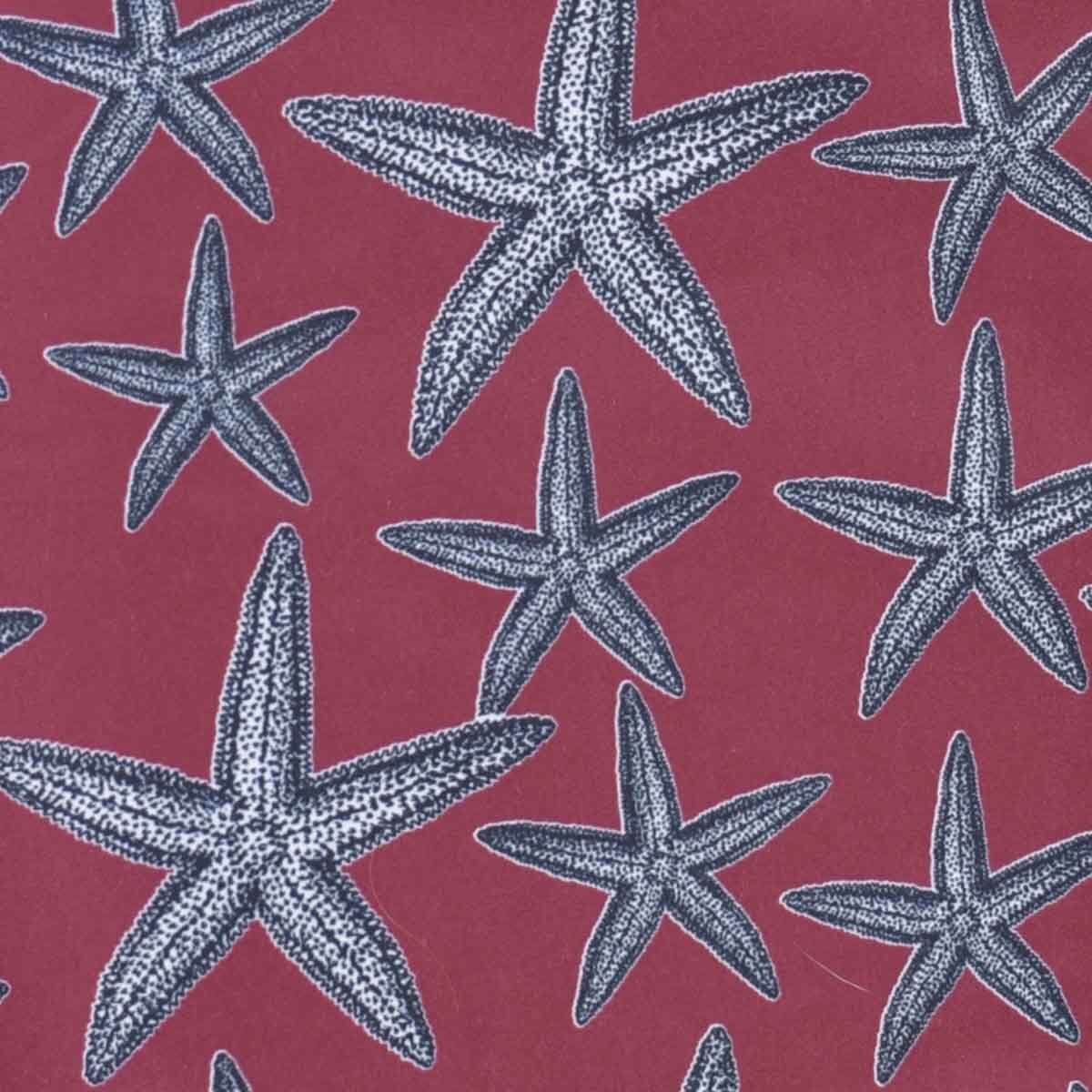Traje de Baño con Diseño de Estrellas Johnny Cotton para Caballero