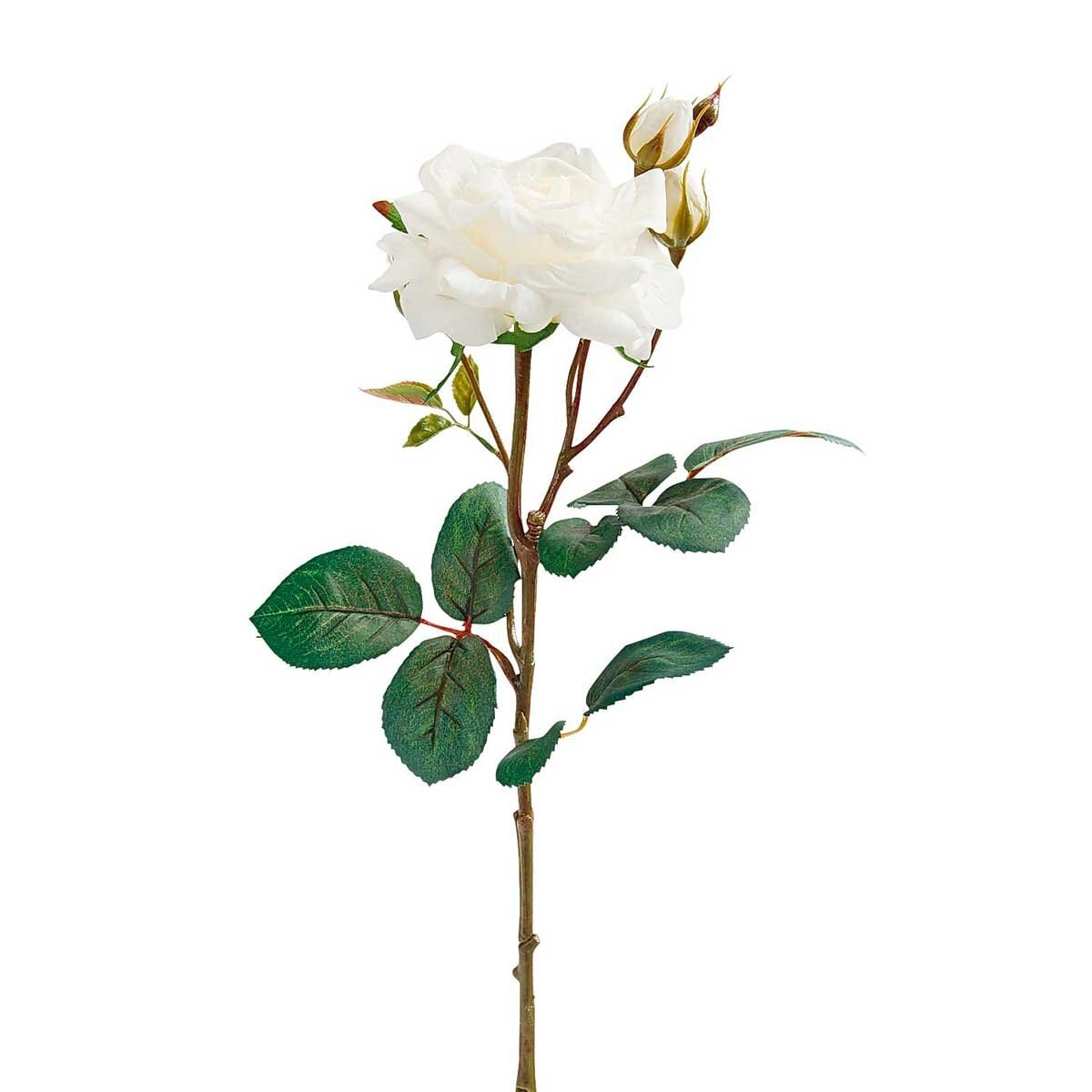 Rosa Color Blanco Tacto Real Pier 1 Imports