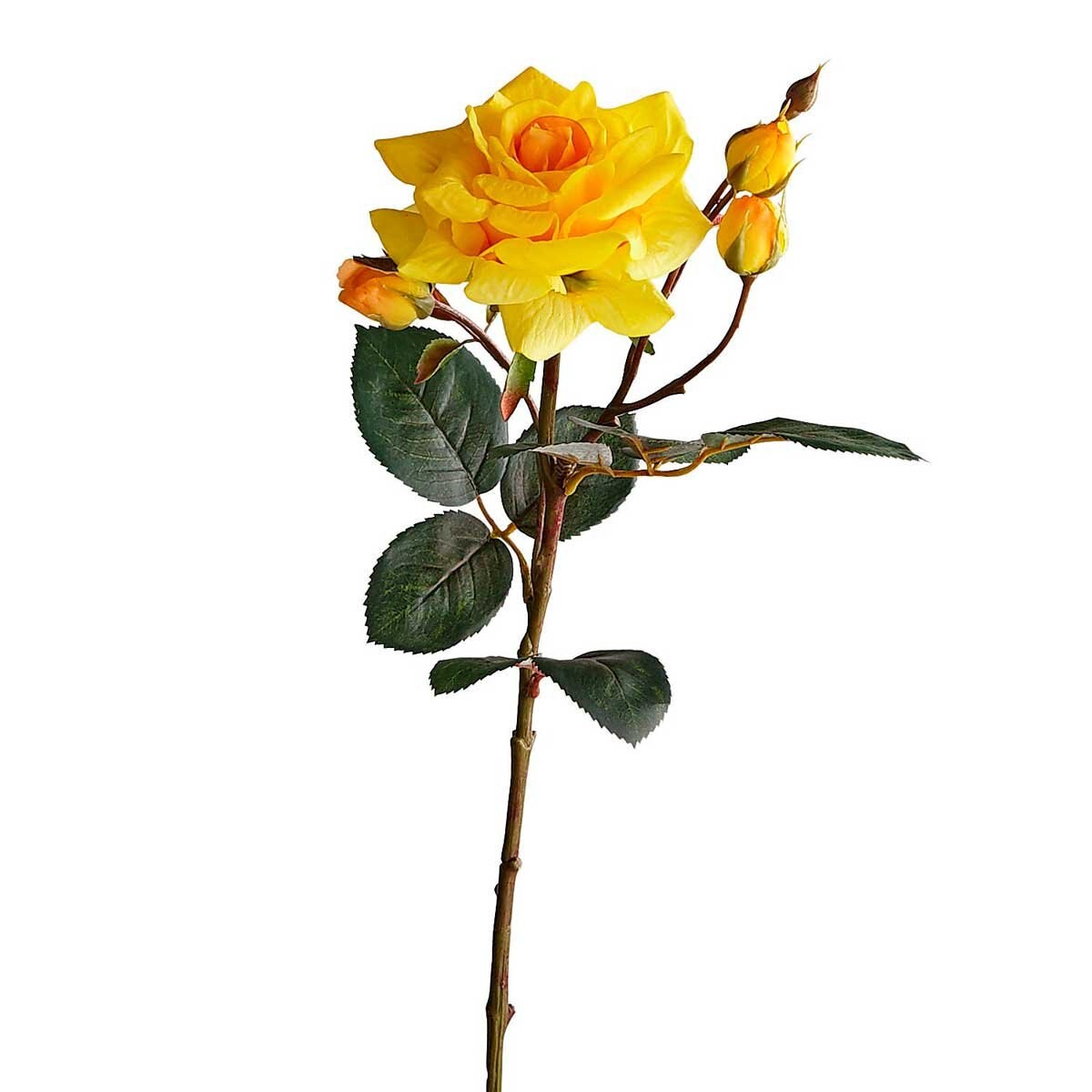 Rosa Color Amarillo Tacto Real Pier 1 Imports