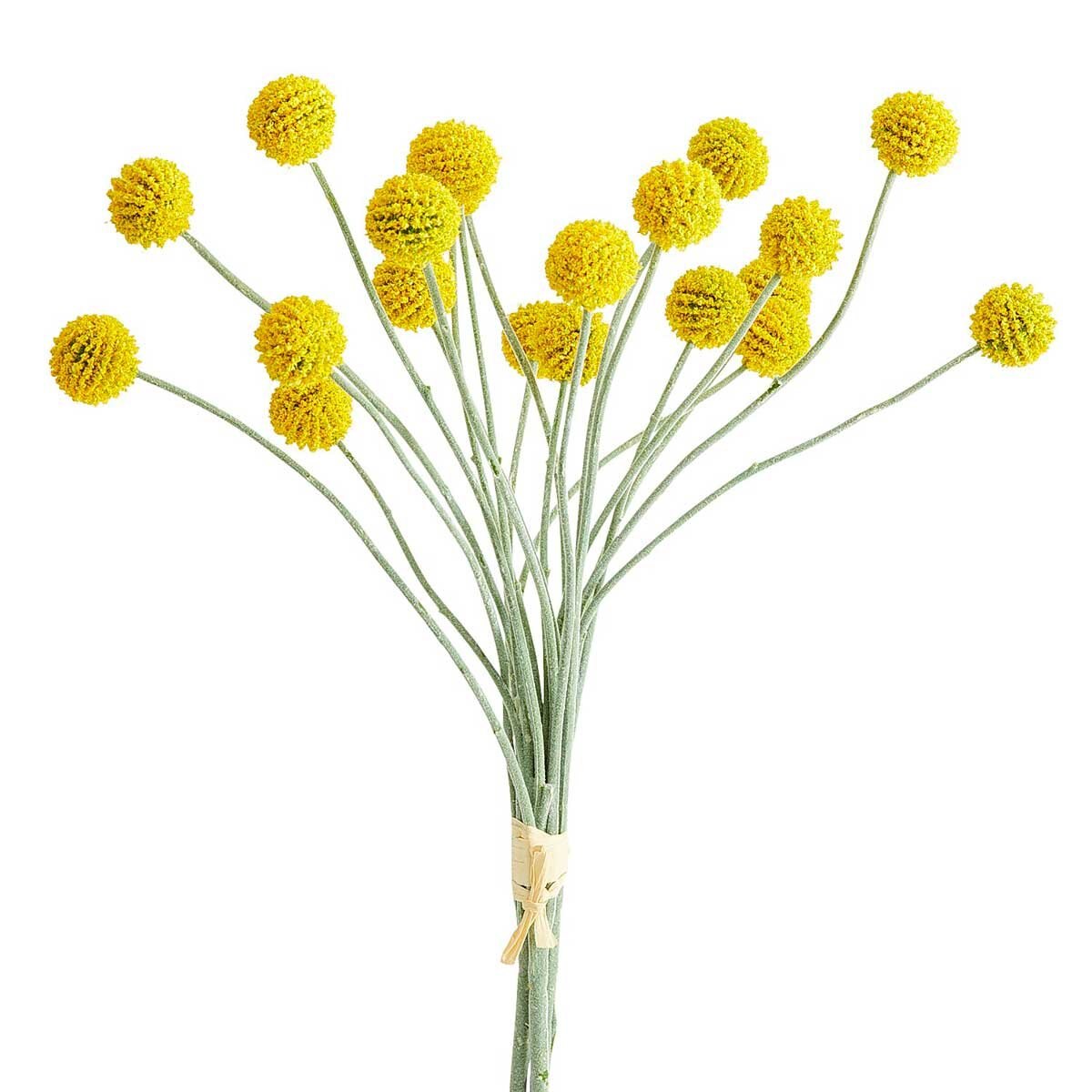 Atado Billy Ball Pier 1 Imports