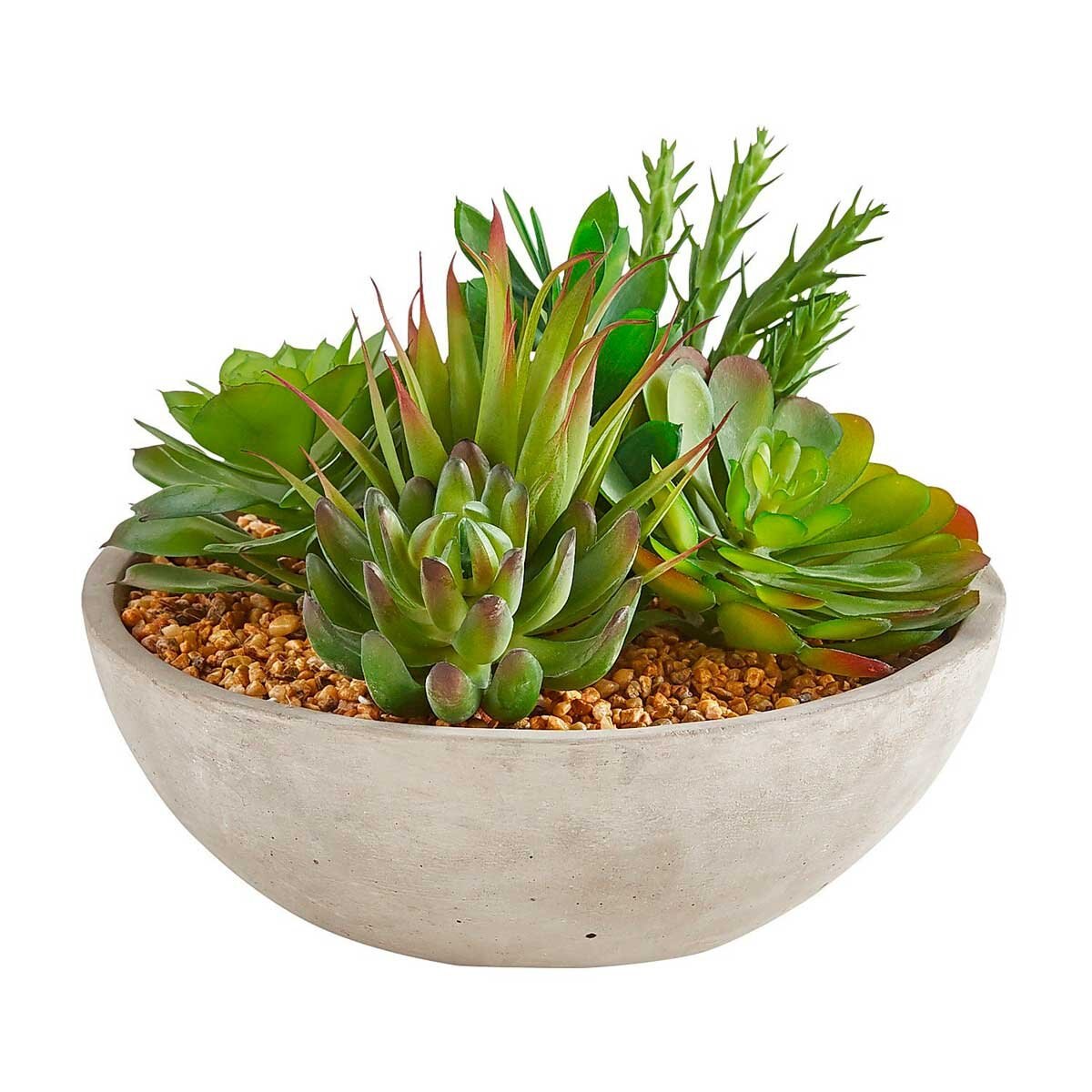 Arreglo Suculentas Pier 1 Imports - Grande