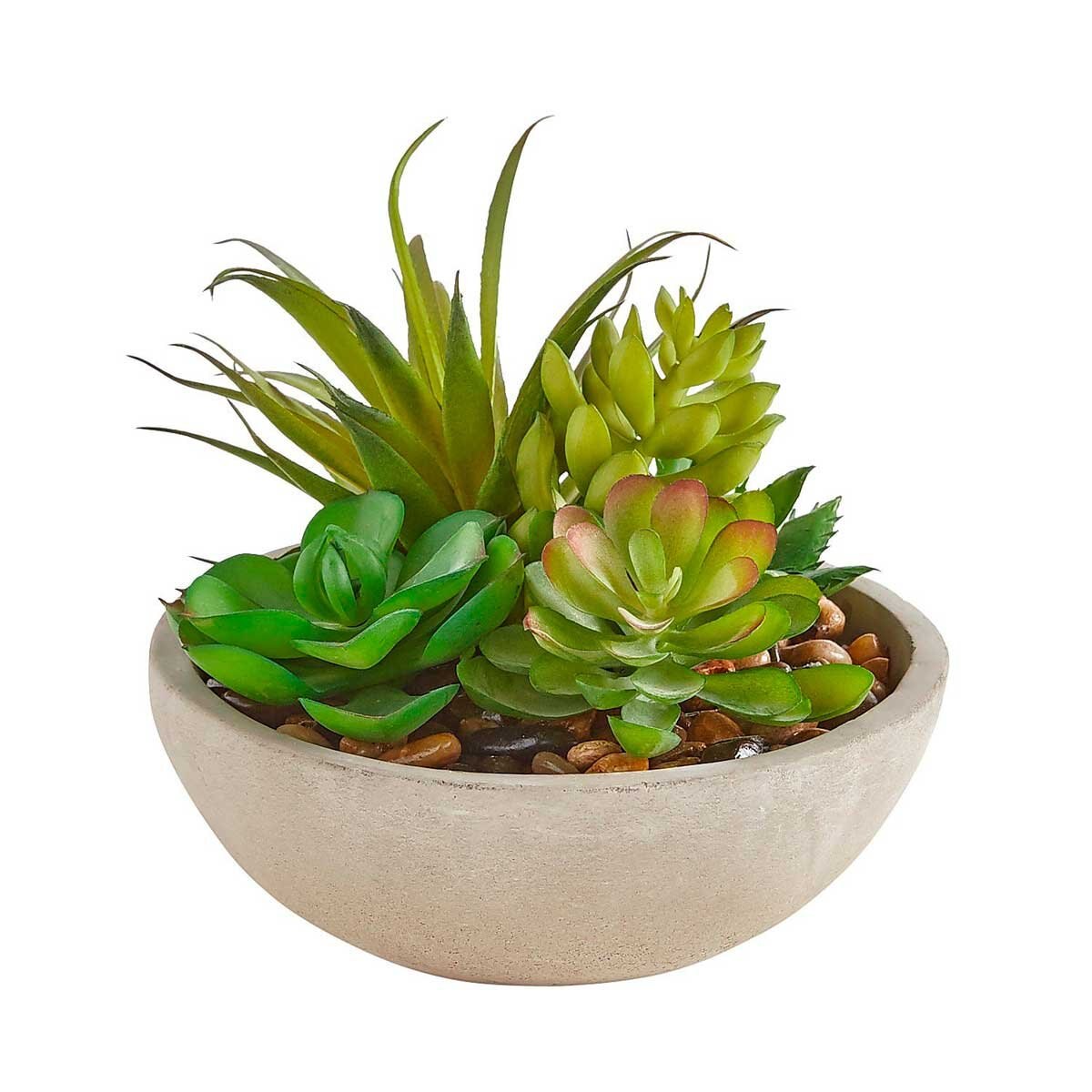Arreglo Suculentas Pier 1 Imports - Chico