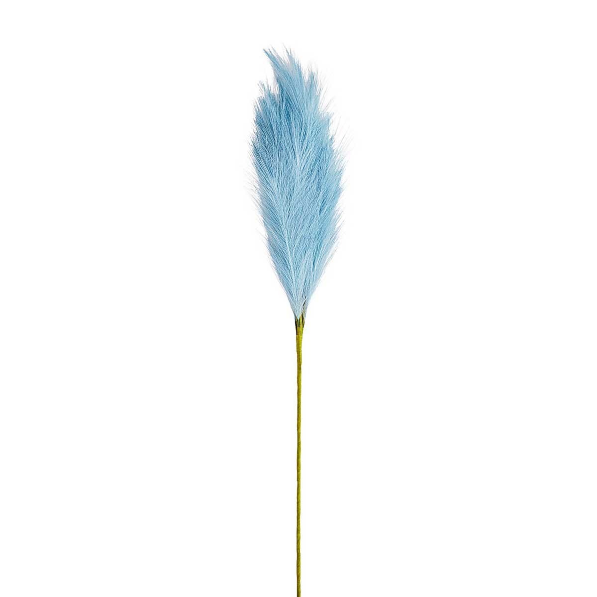 Tallo Pampas Grass Pier 1 Imports