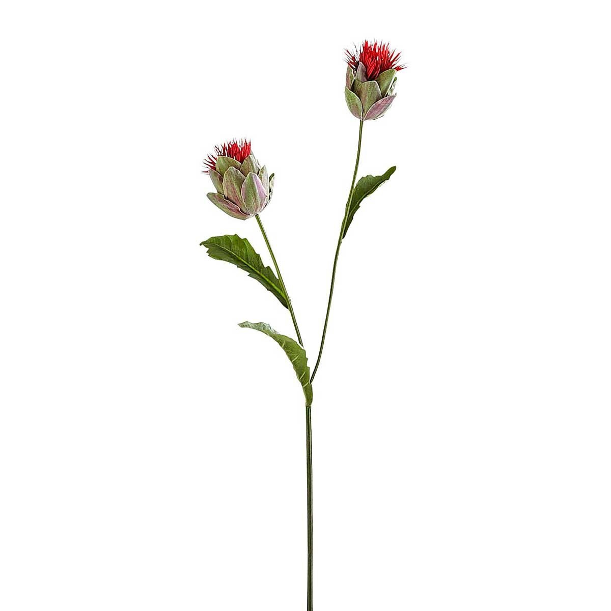 Tallo Flor Artchk Pier 1 Imports