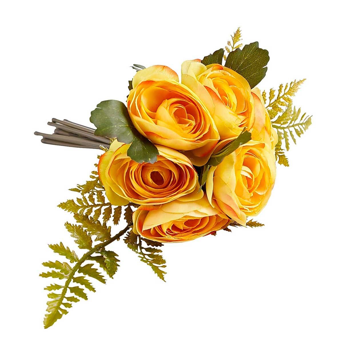 Flor Ranus Pier 1 Imports