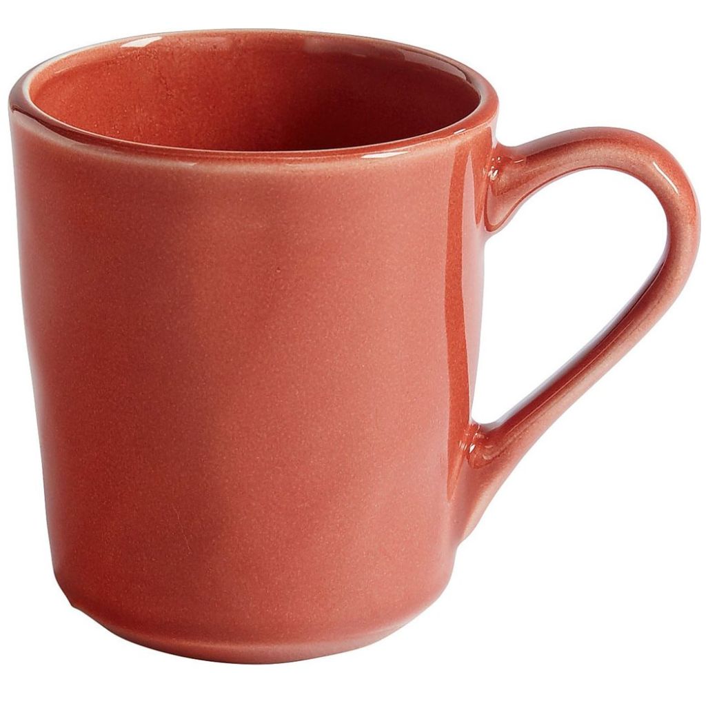 Taza Cady Organic Terracotta Pier 1 Imports