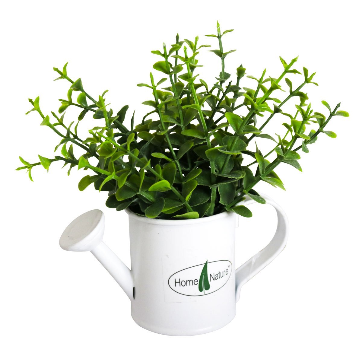 Home Nature Planta Moneda Artificia Regadera Sears