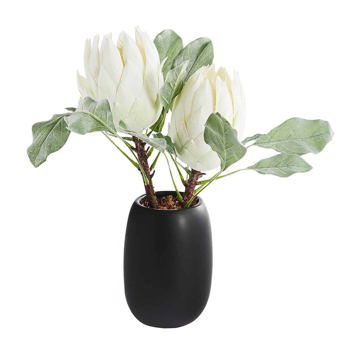 Arreglo en Maceta Protea Black Pier 1 Imports
