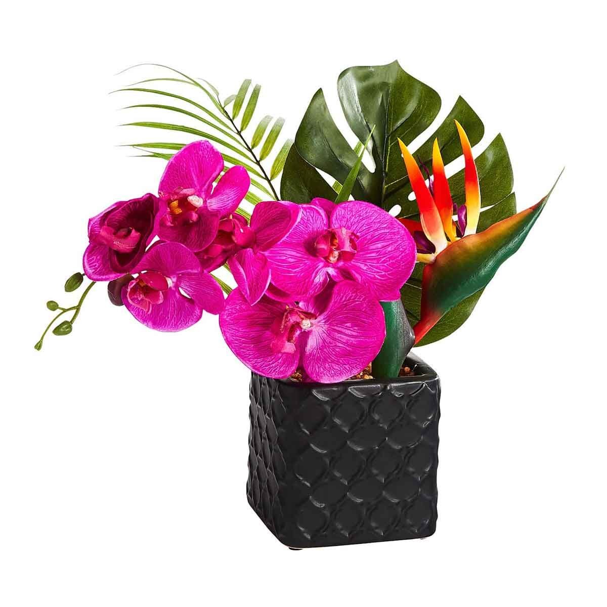 Arreglo en Maceta Orquidea Pier 1 Imports