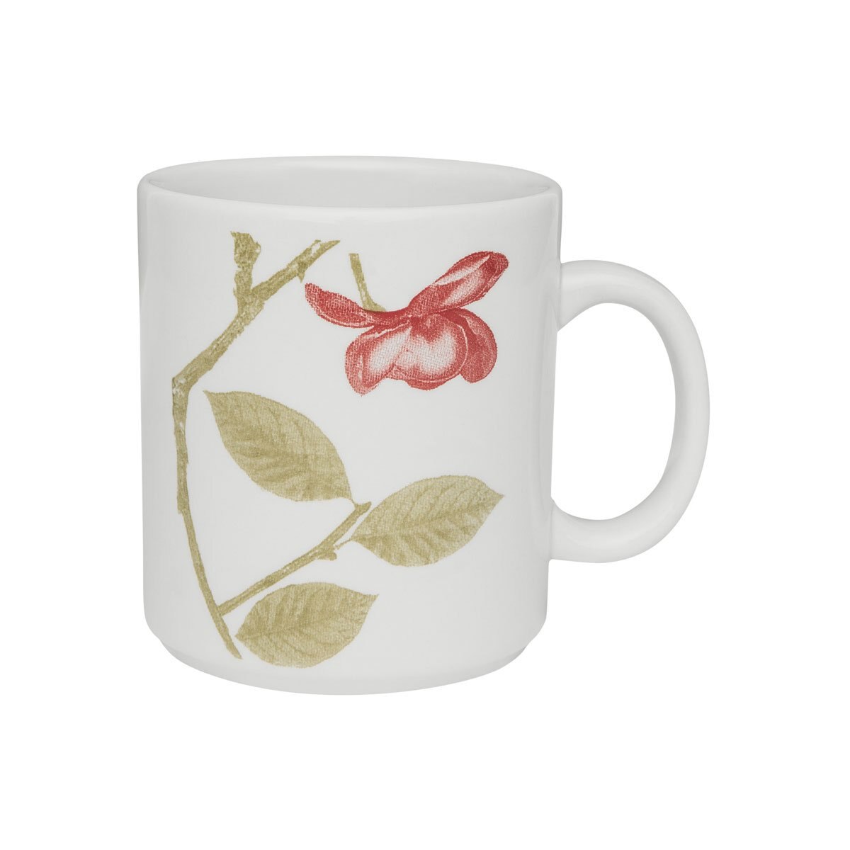 Taza Beauty de 270Ml Biona