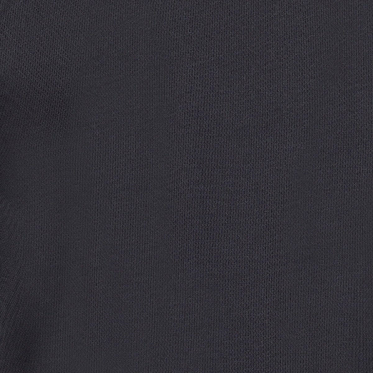 Sudadera Jupiter Everlast para Caballero