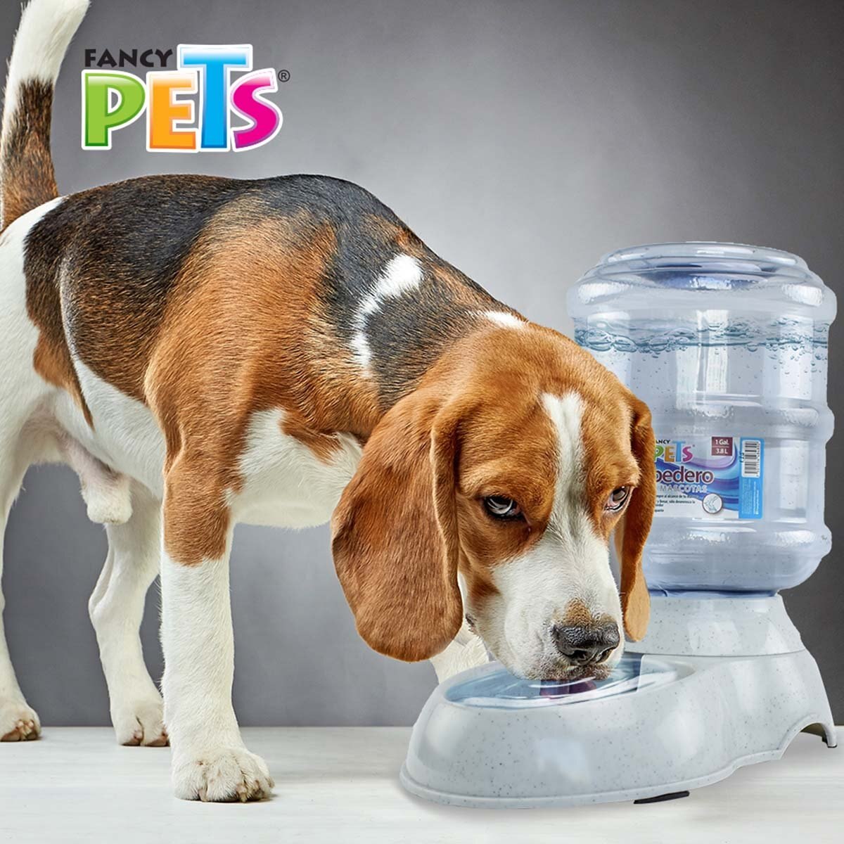 Bebedero Ch 1 Gal / 3.8 Lts Fancy Pets Fl8489