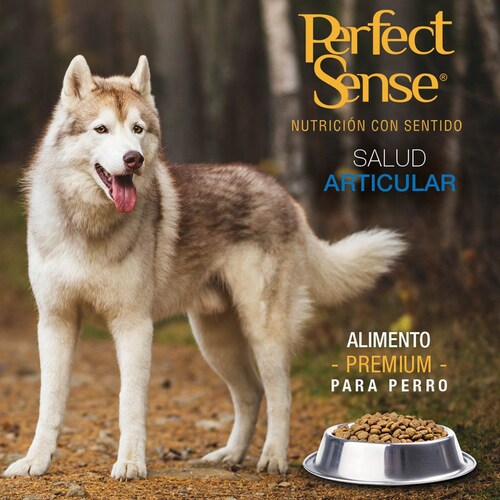 Alimento para Perro Adulto 8Kg Ps1834 Perfect Sense