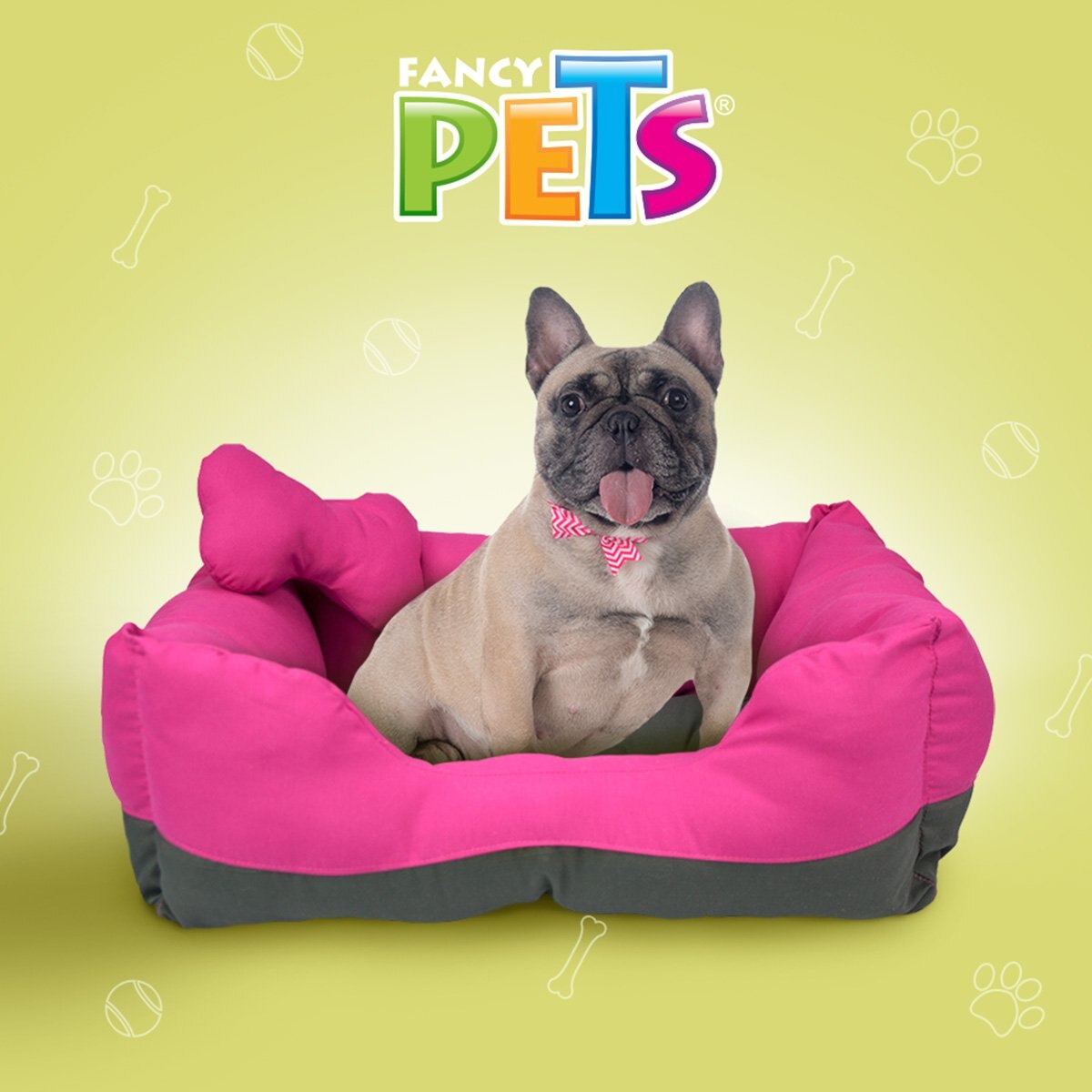 Cama Rectangular Bicolor para Mascota Acuario Lomas