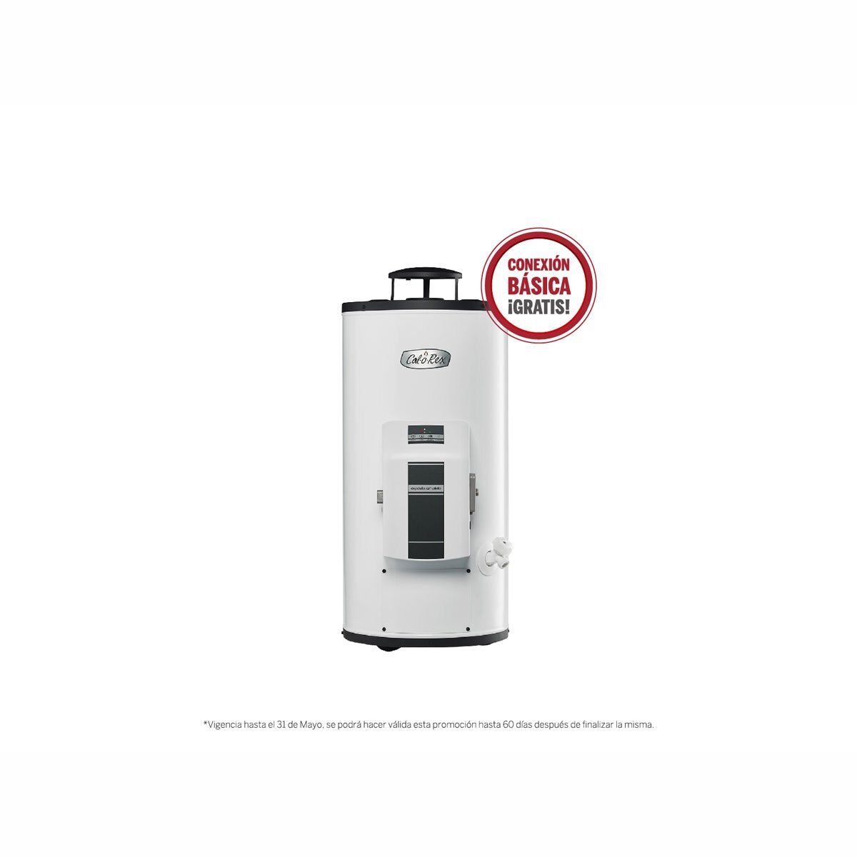 Calentador Calorex G-10 Sin Piloto Gas Natural