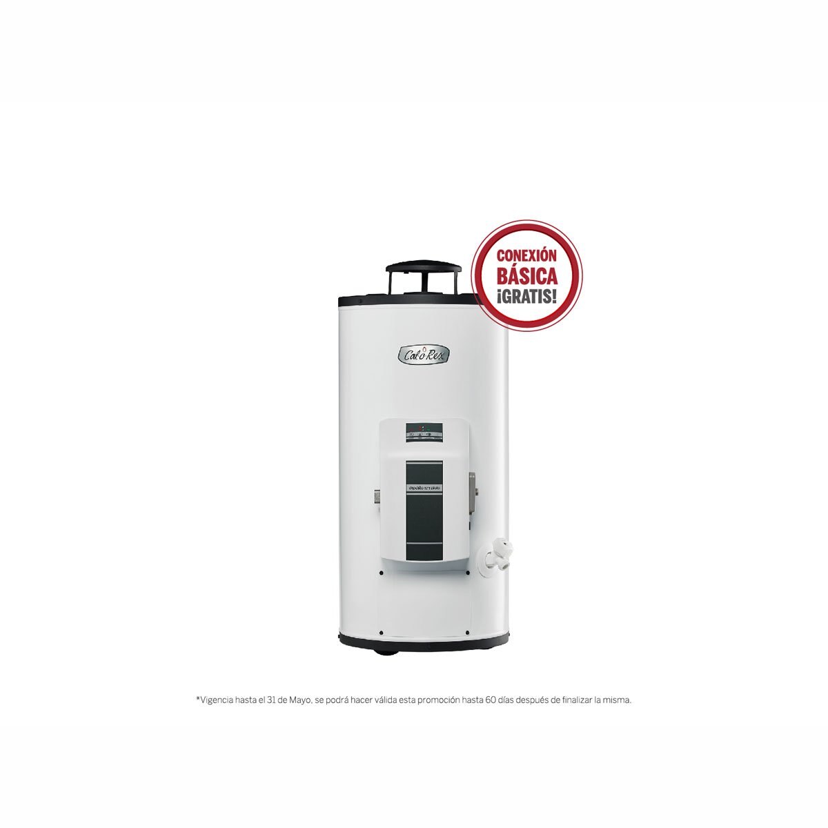 Calentador Calorex G-10 Sin Piloto Wi-Fi Gas Natural