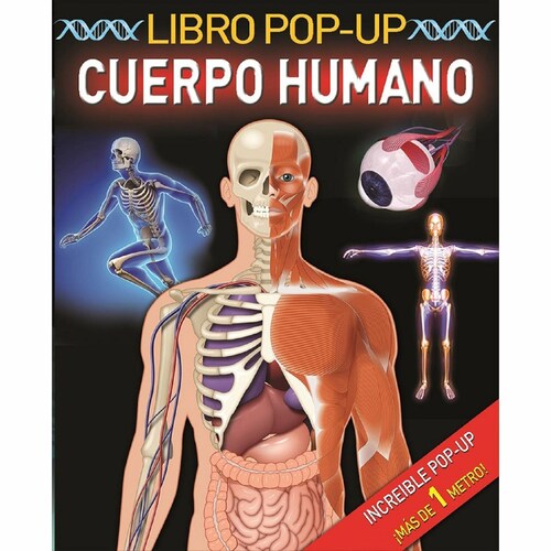 Cuerpo Humano (Libro Pop - Up) Libro Divo